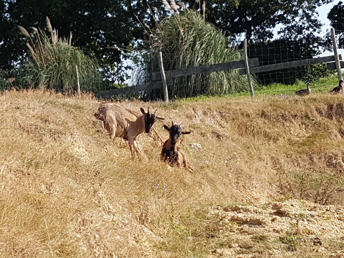 Camping Les Brillas Les Moutiers Esterno foto